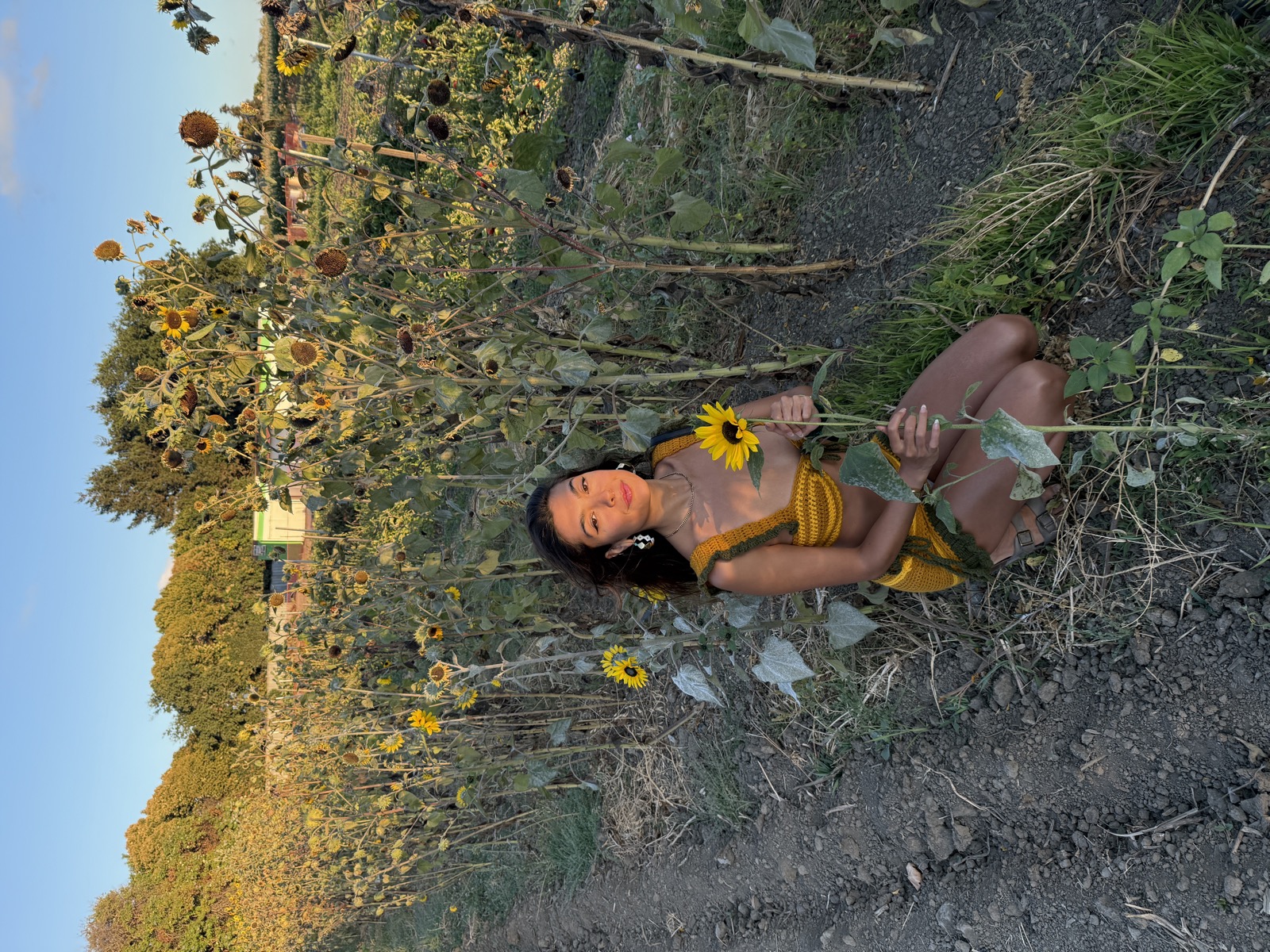 Woman in the mustard crochet set among the sunflowers, golden light